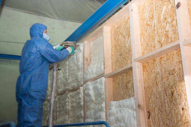 Best Home Insulation Services  in Sayre, PA
